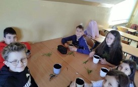 Tydzień M&oacute;zgu w naszej szkole! 24