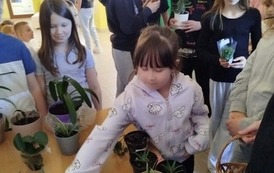 &bdquo;Nasza planeta, nasza moc&rdquo; &ndash; Dzień Ziemi 2026 10
