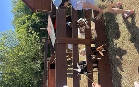 Wycieczka do Zagrody w Cieniu Orzecha 14