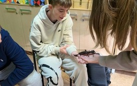 Fascynujący świat zwierząt egzotycznych 3