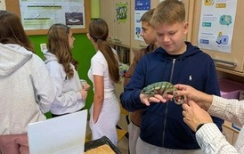 Fascynujący świat zwierząt egzotycznych 8