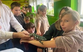 Fascynujący świat zwierząt egzotycznych 11