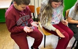 Fascynujący świat zwierząt egzotycznych 15