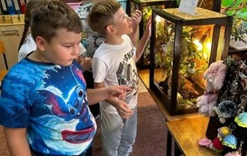 Fascynujący świat zwierząt egzotycznych 19
