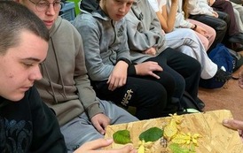 Fascynujący świat zwierząt egzotycznych 20