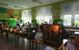 Fascynujący świat zwierząt egzotycznych 25