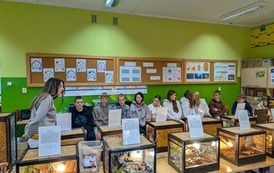 Fascynujący świat zwierząt egzotycznych 32