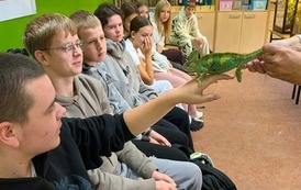 Fascynujący świat zwierząt egzotycznych 59