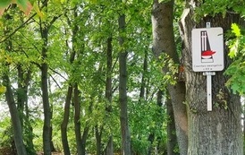 PORZĄDKOWANIE  CMENTARZA  EWANGELICKIEGO 3