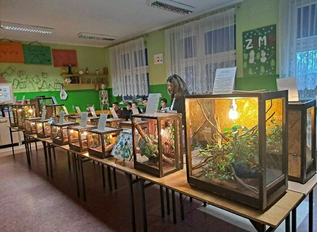 Zdjęcie do Fascynujący świat zwierząt egzotycznych odkryty przez uczni&oacute;w szkoły!