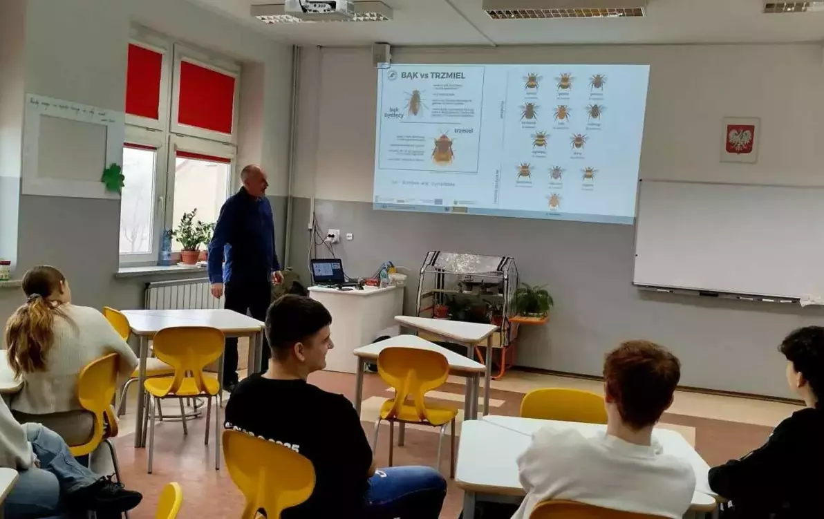 Zdjęcie do Pszczoły &ndash; czy Albert Einstein miał rację?
