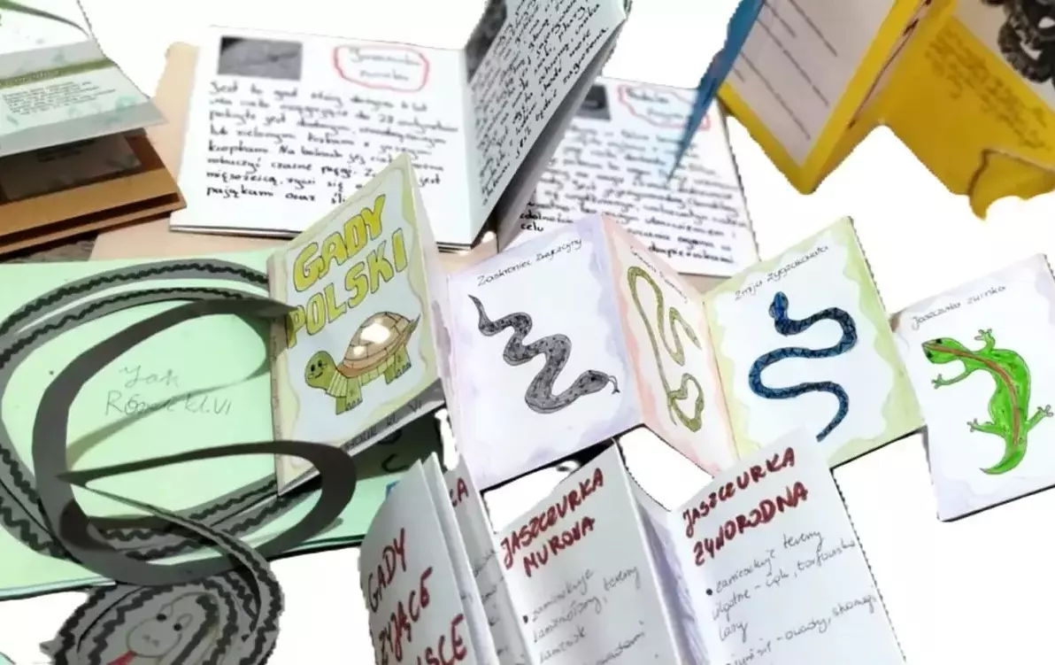 Zdjęcie do Klasa 6 kontynuuje przygodę z innowacją &ndash; &bdquo;Zachwycający świat zwierząt&rdquo;